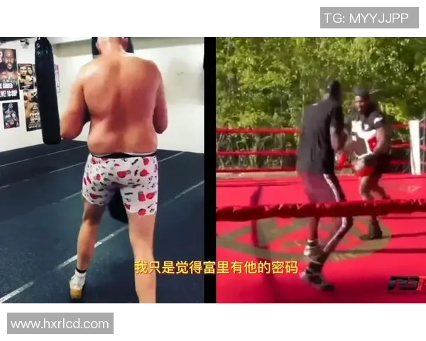 泰森富里与维尔德的世纪对决谁将成为拳坛新王者